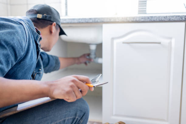 Best Clogged Drain Plumber  in Zeigler, IL